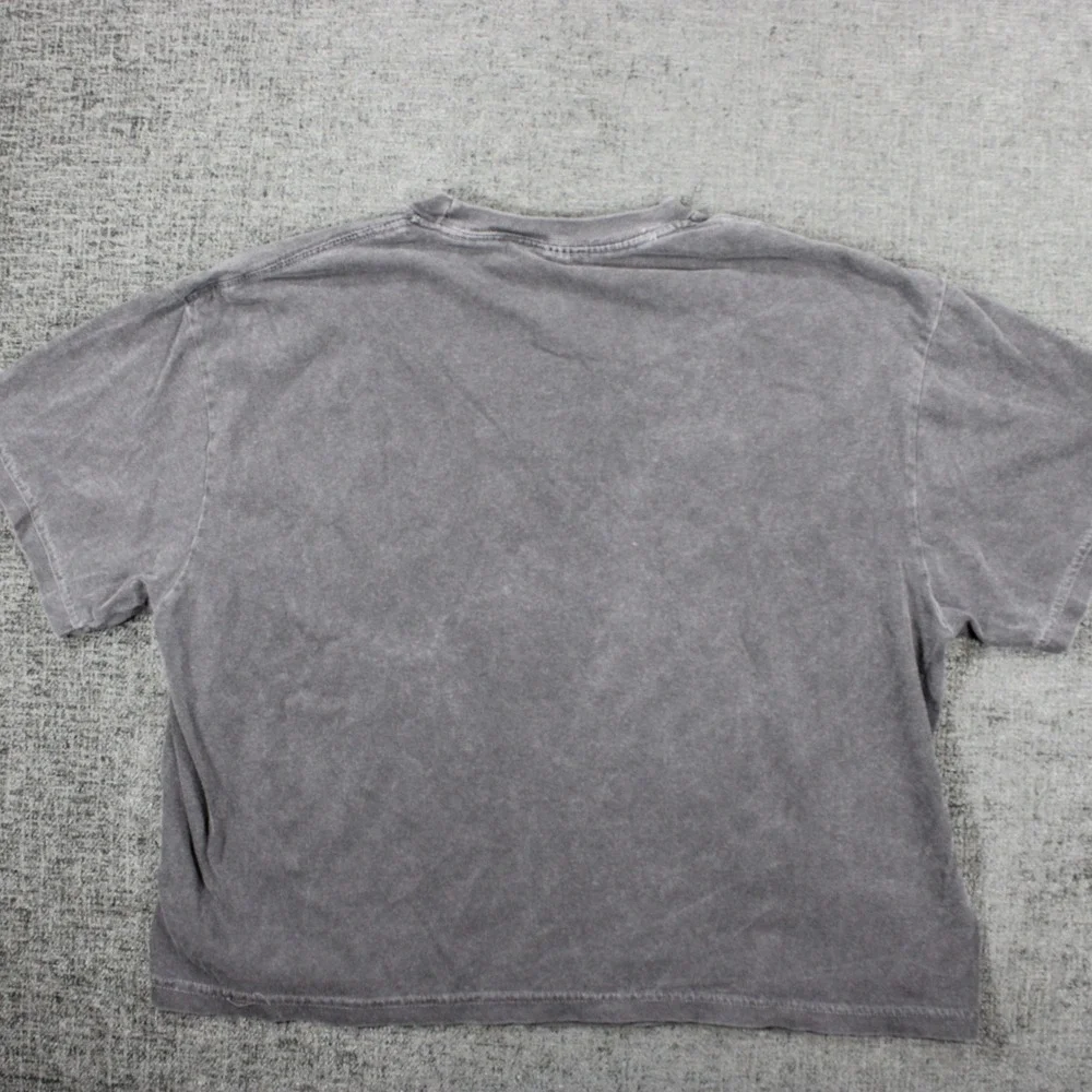 Goose Band Tee Luna Moth Graphic Mineral Wash Charcoal Grey T-Shirt Large - Picture 5 of 9
